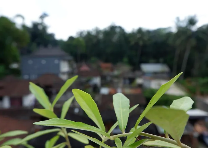Ramaya View * Ubud